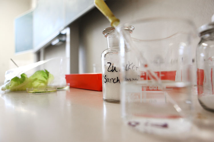 Versuchsaufbau mit diversen Tetsobjekten